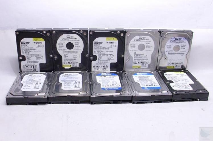 Lot of 10 Western Digital 160GB SATA Hard Drives  